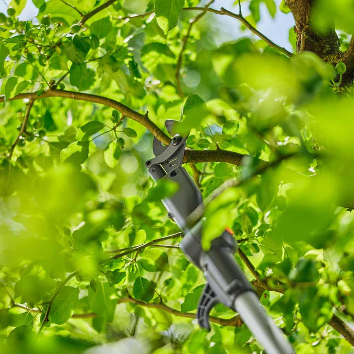 Battery Telescopic Pruning Loppers HighCut 250/18V P4A — 18 V, 28 mm Cutting, 4 m Reach, Bypass