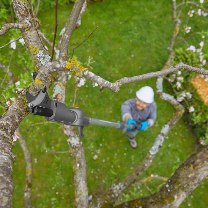 Battery Telescopic Pruning Loppers HighCut 250/18V P4A — 18 V, 28 mm Cutting, 4 m Reach, Bypass