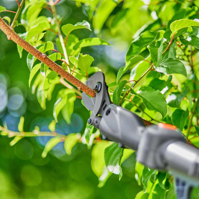 Battery Telescopic Pruning Loppers HighCut 250/18V P4A — 18 V, 28 mm Cutting, 4 m Reach, Bypass