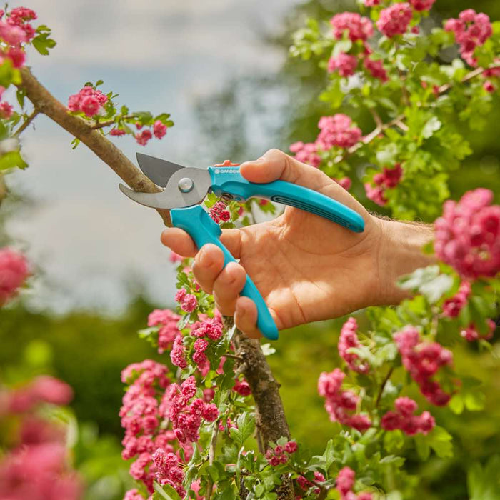 Light Garden Secateurs EasyCut, Home Use, Budget-Friendly, 20 mm Cutting Diameter, Bypass Cut