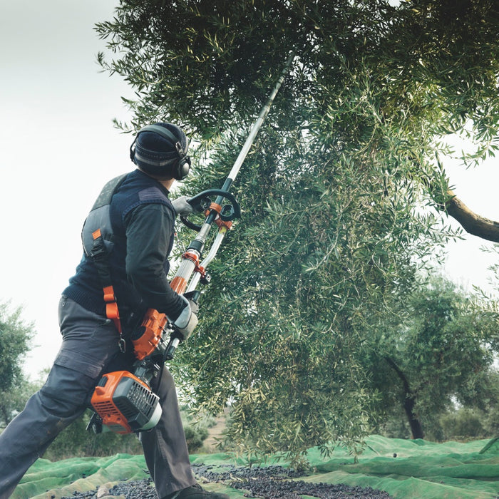 Z650 Petrol Vibrating Olive Harvester, Professional Harvesting Use, 63 cc, 4.33 hp, 2,000 vib/min, 13.4 kg