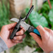 VeggieCut Scissors, Grafting Knife, 8 cm Blade Length, Food-Safe Use, Stainless Steel Blade, 175 g-6