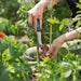 VeggieCut Scissors, Grafting Knife, 8 cm Blade Length, Food-Safe Use, Stainless Steel Blade, 175 g-8