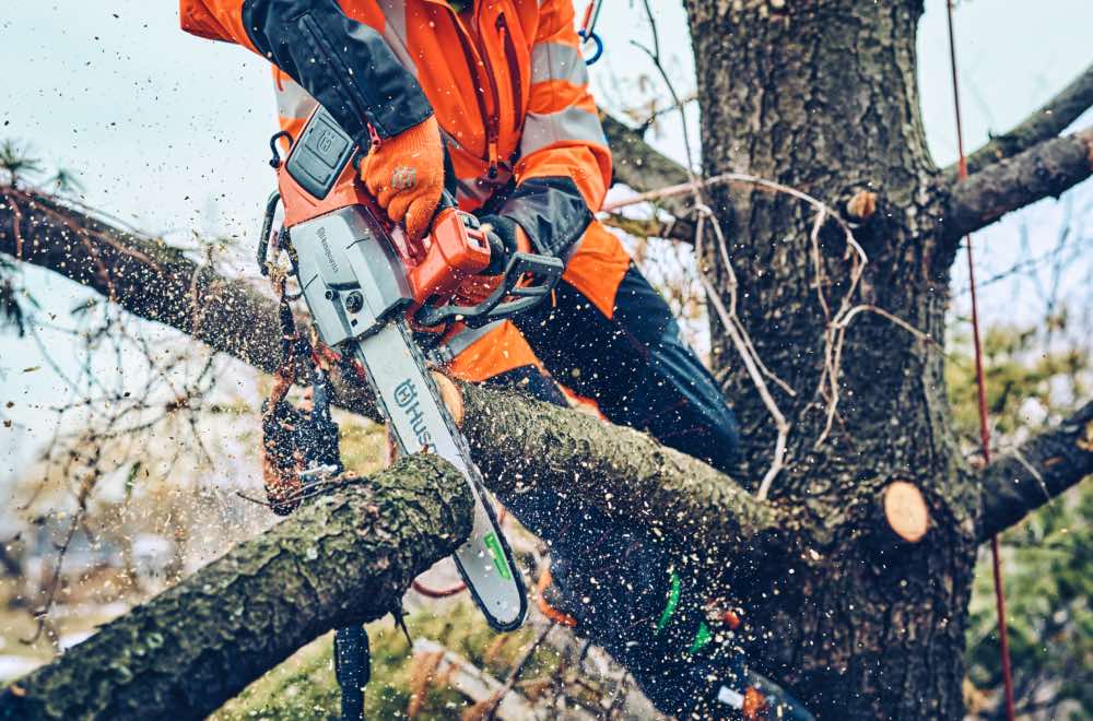 T542i XP Arborist Battery Chainsaw with Clutch, 40 cc, 40 V, Li-Ion, 40 cm Blade, 0.325" Mini Pitch, 3.3 kg