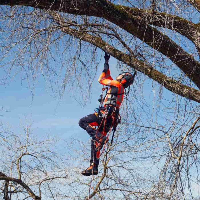 Husqvarna Climbing Harness with Padded Back, Adjustable Leg Loops and Double Bridge-10