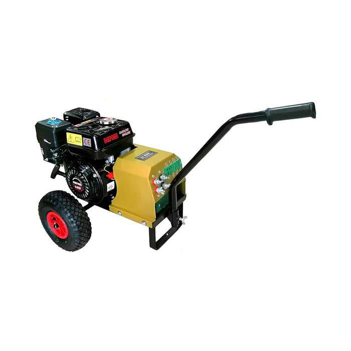 Olive Harvester Power Base Generator, 6.5 hp, Operates up to 6 Harvesters, 70A/100A Dynamo, 30 kg-1